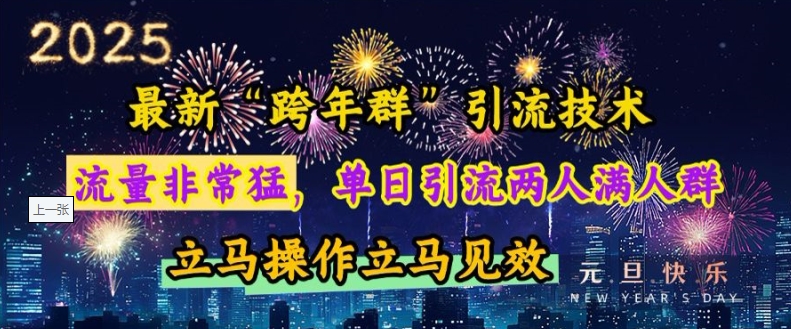 冒泡网项目_最新“跨年群”引流，流量非常猛，单日引流两人满人群，立马操作立马见效