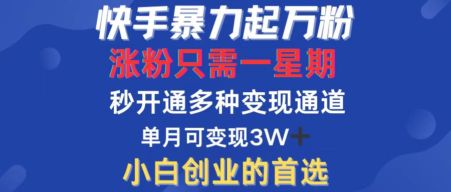 中赚网_（12651期）快手暴力起万粉，涨粉只需一星期，多种变现模式，直接秒开万合，小白创…