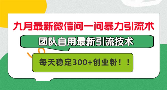 中赚网_（12735期）九月最新微信问一问暴力引流术，团队自用引流术，每天稳定300+创…